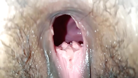 Bhabhi gives him a big blowjob and has a hardcore affair