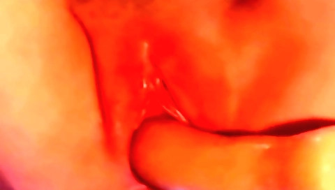 Solo female masturbates with dildo in her pussy in homemade porn