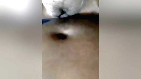 Indian girl sucks and rides an erect cock with pleasure